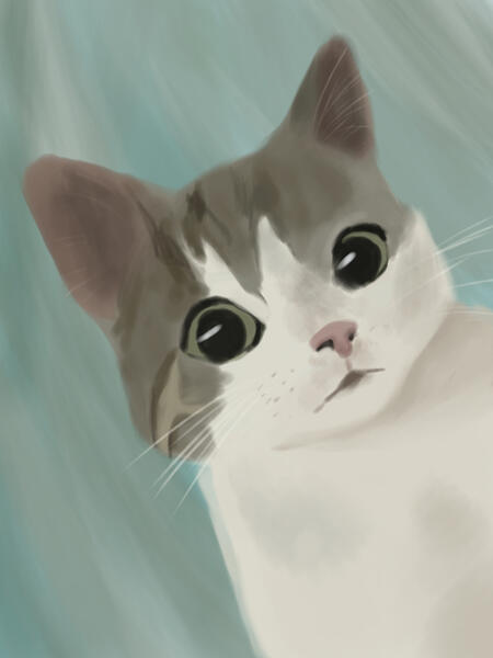 Pet portrait